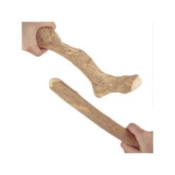 CANOPHERA GMBH - Cane Legno Da Masticare Albero Del Caffè Large