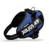 JULIUS K9 POWERHARNESS PETTORINA BLU MINI MINI Cm 40-53 Kg 4-7 -Cani Articoli Negozio julius k9 powerharness pettorina blu mini mini cm 40 53 kg 4 7