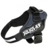 JULIUS K9 POWERHARNESS PETTORINA JEANS Tg. 1 Cm 63-85 Kg 23-30 -Cani Articoli Negozio julius k9 powerharness pettorina jeans tg 1 cm 63 85 kg 23 30