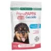 PRIMA PAPPA CUCCIOLO BAYER 12X GR100