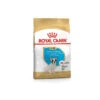 ROYAL CANIN Bulldog Francese Junior 3 Kg. -Cani Articoli Negozio royal canin bulldog francese junior 3 kg