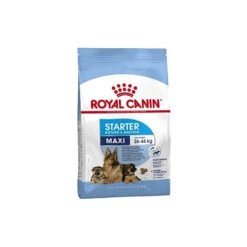ROYAL CANIN Maxi Starter Mother & Babydog 4 Kg