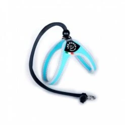 TRE PONTI PETTORINA CHIUSURA CON LACCIO E BORDO RIFRANGENTE AZZURRA Cm 30-40